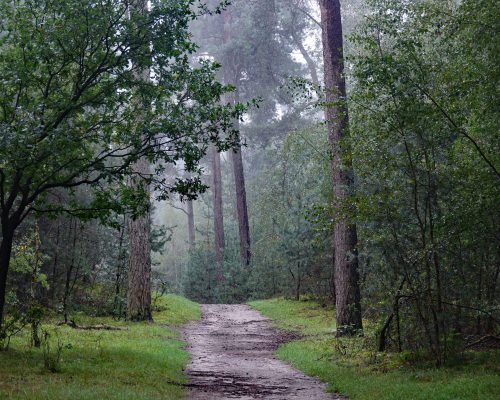 Kampina Boxtel