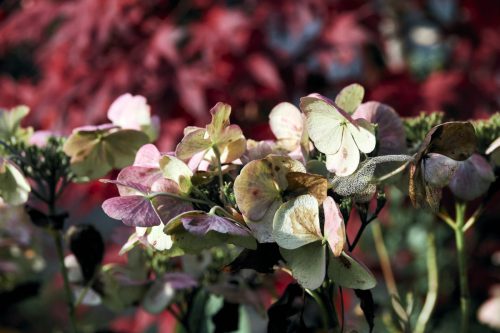 211118-IJZEREN-MAN 6781