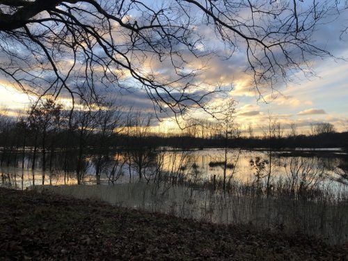 DE DOMMEL OVERSTROOMT